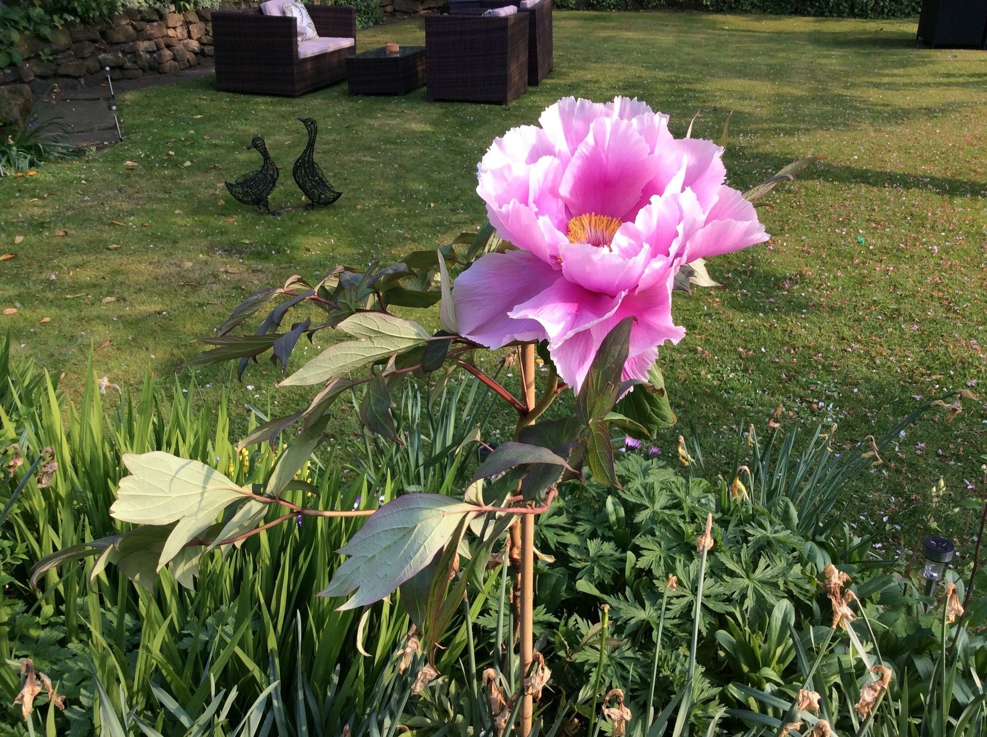 Willow Cottage B&B Yeadon Kültér fotó